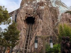 -奥兰多迪士尼动物王国乐园