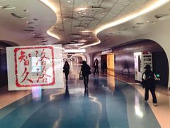 -上海中心大厦