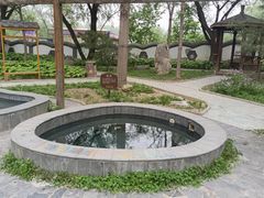 -稻香湖景欢乐岛温泉城堡