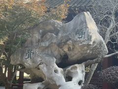 -檀园