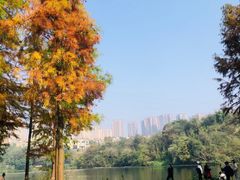 -重庆彩云湖湿地公园