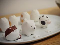 -猫里有甜