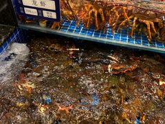 -东海怡品海鲜豆捞(舟宿夜江店)