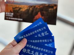 -元谋土林景区(物茂土林)