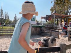 -前小桔亲子创意农场·草莓采摘·露营烧烤