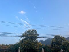 -都江堰石锅鱼