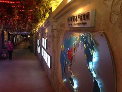 店内环境-青岛葡萄酒博物馆