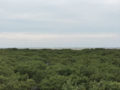 -北海金海湾红树林生态旅游区