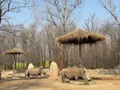 -北京野生动物园