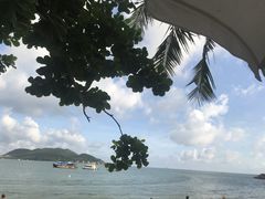 -珊瑚岛