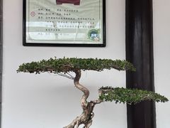 -个园