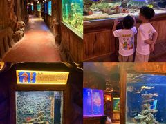 -长鹿旅游休博园