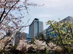 -青岛海尔洲际酒店