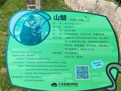 -大连森林动物园