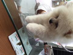 爱侣宠物医院(灵石路总店)-爱侣宠医·鹦鹉专科·小型哺乳类·异宠专科(灵石路店)