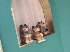 -飞行喵MR PILOT|猫舍·猫咖(静安大融城店)
