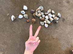 -六鳌翡翠湾滨海度假景区