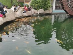 -东南花都花博园