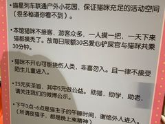 -猫咪博物馆(顶澳仔猫街店)