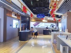 -苏宁易购(Suning Pro南京山西路店)