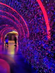 -嗨翻Hi-Fun竞技主题乐园·蹦床团建生日聚会(五棵松华熙店)