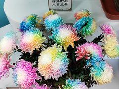 -陶然亭公园