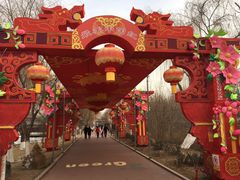 -雁滩公园