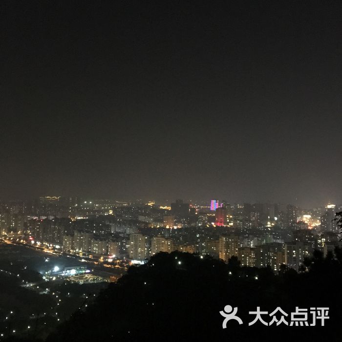 杨府山公园夜景图片