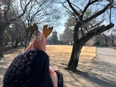 -水前寺成趣园