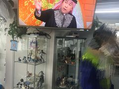 -帝京日语(春熙路旗舰校区)