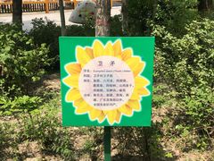 -大青山野生动物园