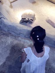 -酷嗒动物文化乐园(cutezoo西溪乐天城店)