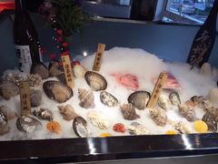 -深蓝金枪·深海鱼刺身(吉大店)