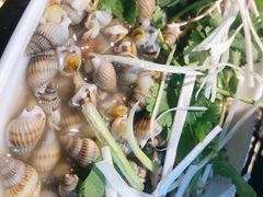 白灼海螺丝-丹东特色烤肉(南光三部店)