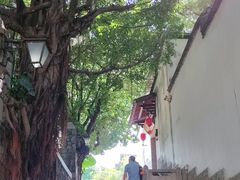 -乌山风景区