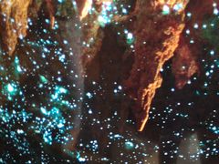 -怀托摩萤火虫洞