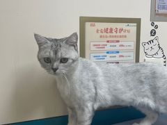 -虹泰宠物医院 ·旗舰店·24h(南秀路店)