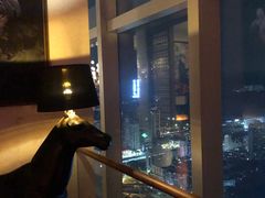 -The Penthouse酒吧