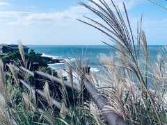 -龙头岩(Dragon Head Rock)