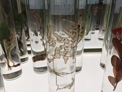 -北京中医药大学-中医药博物馆