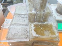 -沈阳国际会展中心管理有限公司