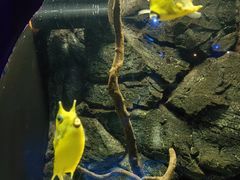 -大连圣亚海洋世界