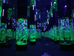 -成都浩海立方海洋公园