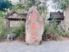 -野象谷景区