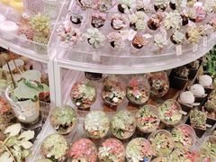-KKV(深圳kk one 店)