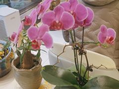 -有鱼吃·纸包烤鱼(曲江创意谷店)