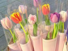 -龙庭华宴·粤菜·早茶