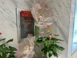 -武汉颜范薇美医疗美容门诊部
