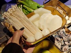 -Darling Queen·Mini·Live·House