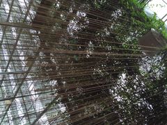 iphone_upload_pic-上海多利农业发展有限公司